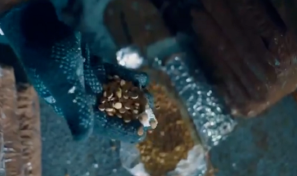 السعودية: إحباط تهريب 1.6 مليون حبة كبتاغون